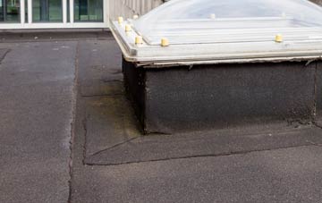 disadvantages of Partick flat roofs