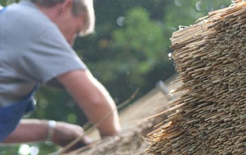 professional Partick thatchers